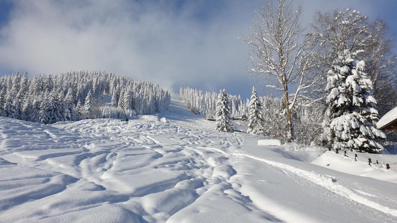 Penzion Srub Panorama Pec pod Snezkou Bagian luar foto
